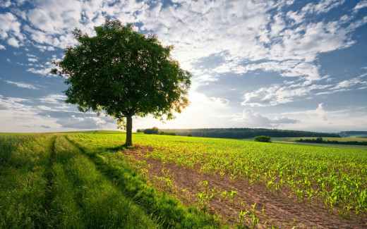 495222 (a): :2560x1600
